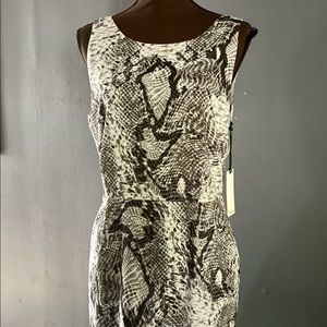 BB DAKOTA BY STEVEN MADDEN FITTED DRESS